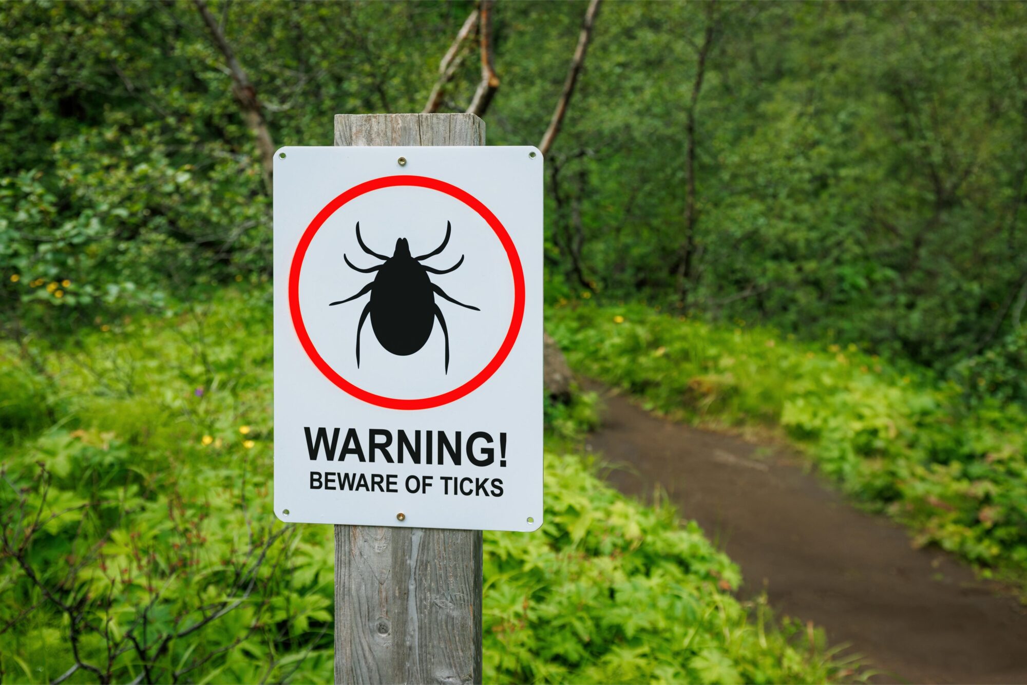 Warning Beware of Ticks.